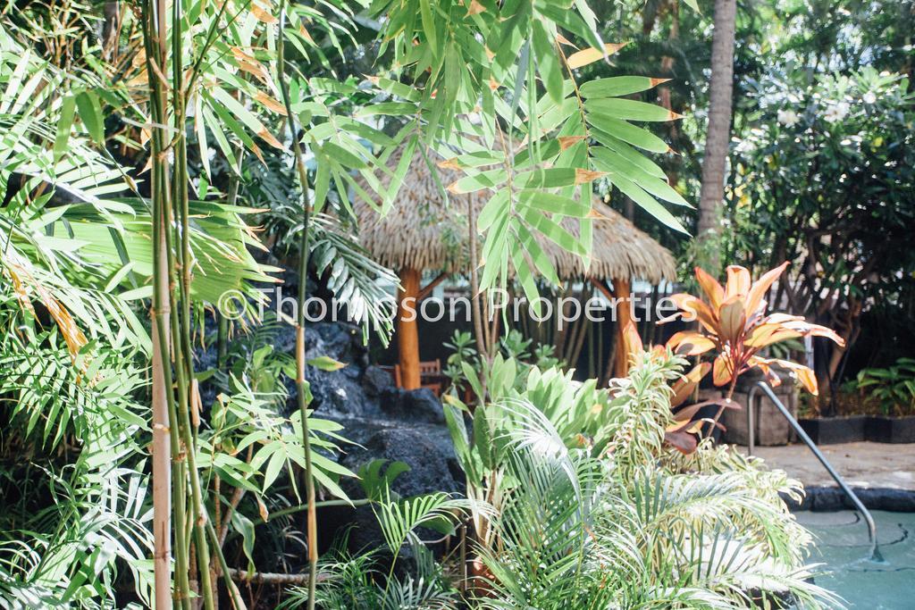 Bamboo Waikiki Apartment Honolulu Exteriér fotografie